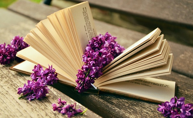 Books That Help You Find Inspiration in Everyday Life