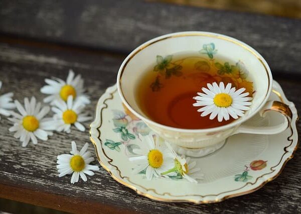 Tea meeting: “Warmth of Spring”