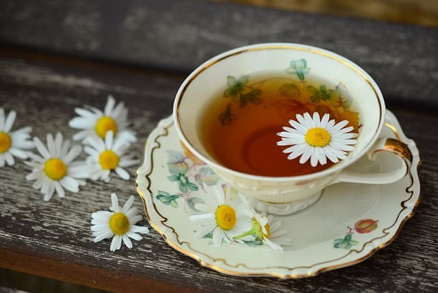 Tea meeting: “Warmth of Spring”