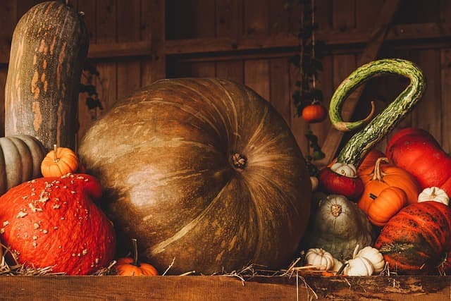 5 Ideas for Perfect Fall Interiors